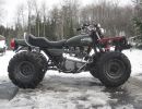 ltd quad conversion