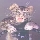 Toonces's Avatar