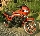 mikthebik's Avatar